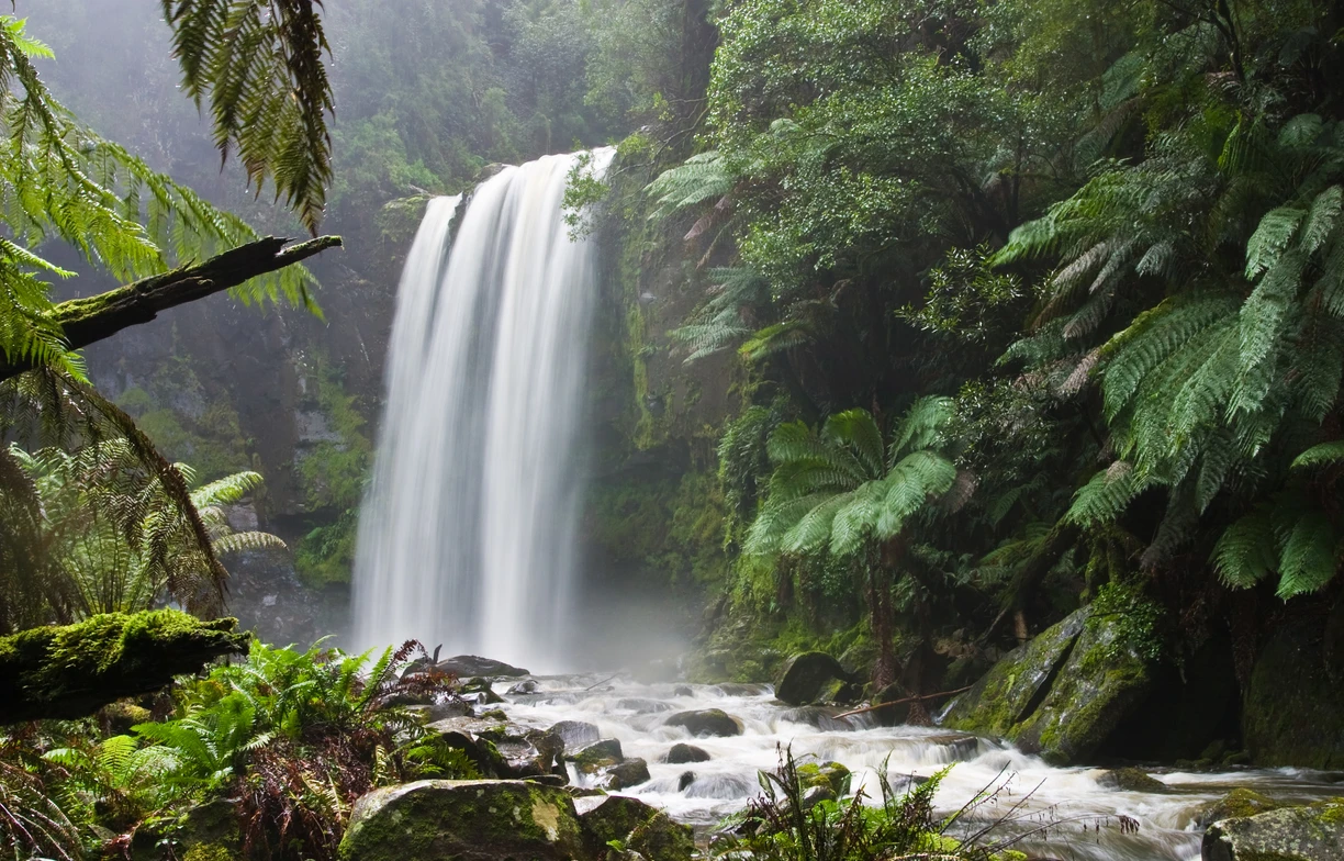 Co je digitální agentura a jak vybrat tu správnou?