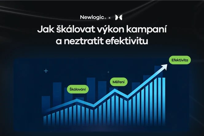 Studio W: jak jsme přestavěli výkon kampaní a zvýšili tržby o 261 % za rok